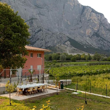 Holiday Apartments Giulia - Green Pietramurata Eksteriør billede